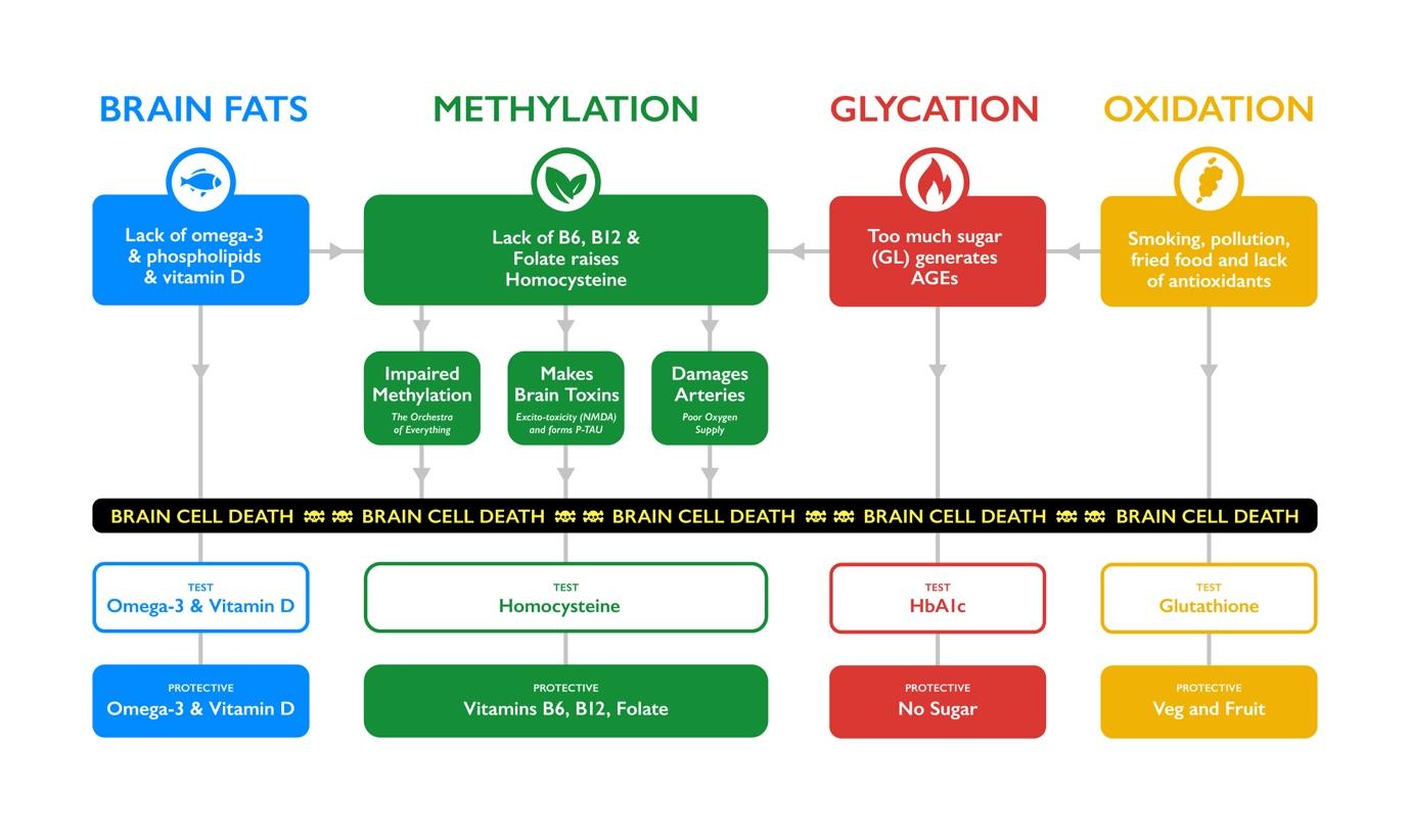 A diagram of different types of cells

Description automatically generated